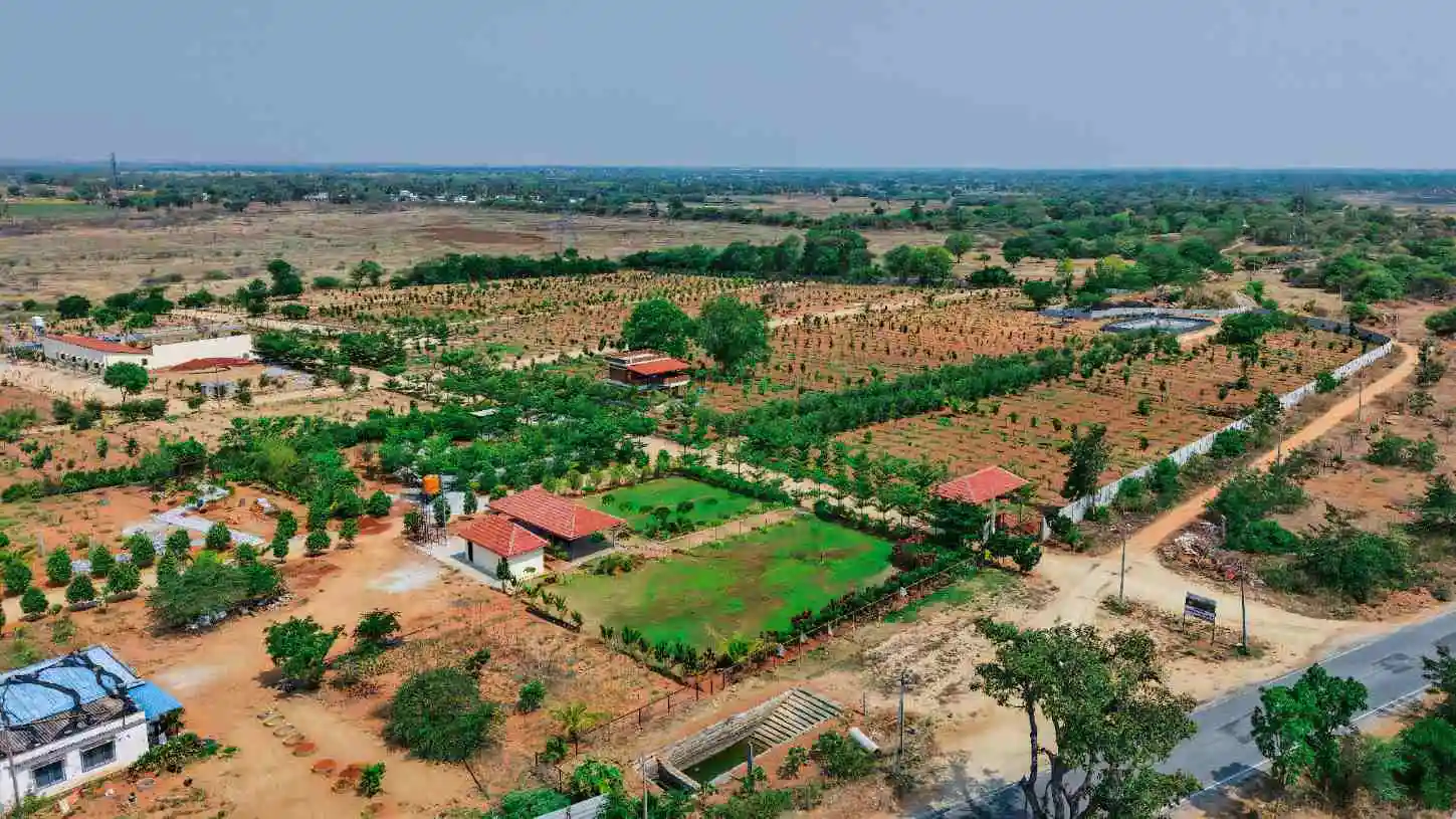 Valley 8