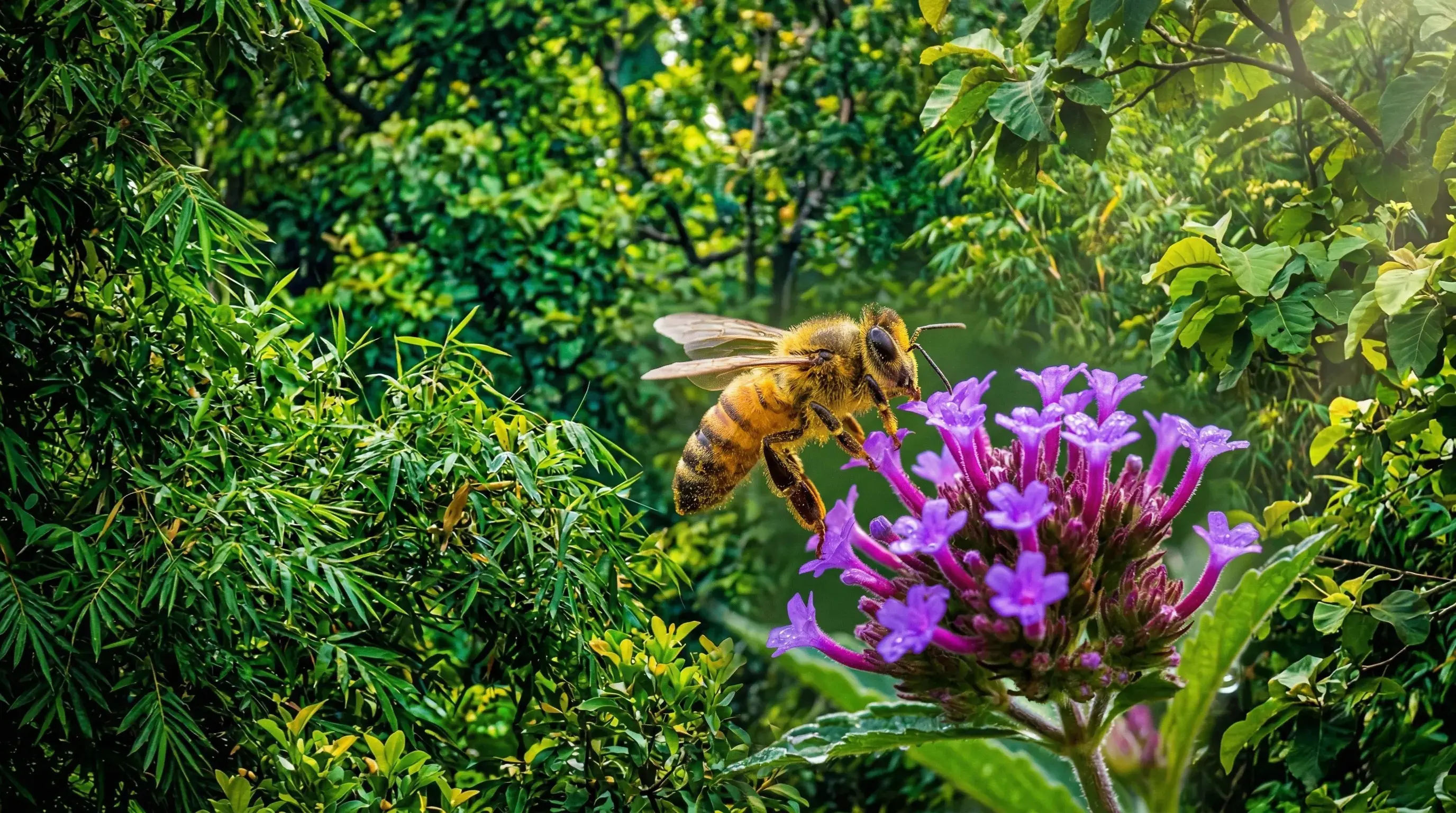 Healthy soil organic farming India sustainable agriculture soil fertility natural farming