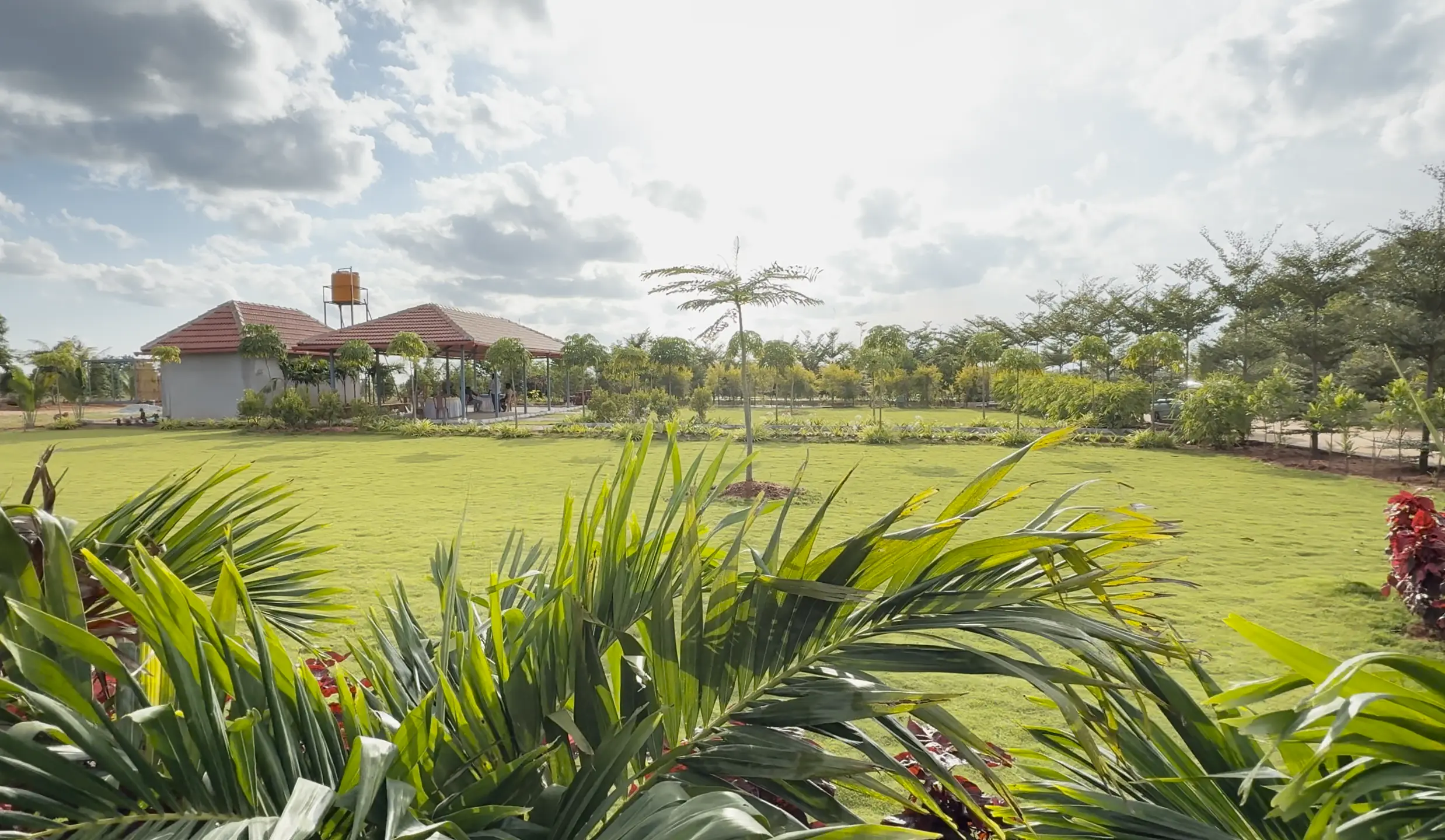 managed farmland sandal valley gudibanda fort gauribidanur red sandalwood plantation