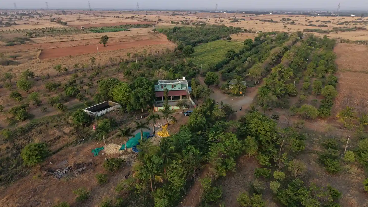 brahmasamudra managed farmland green landscape