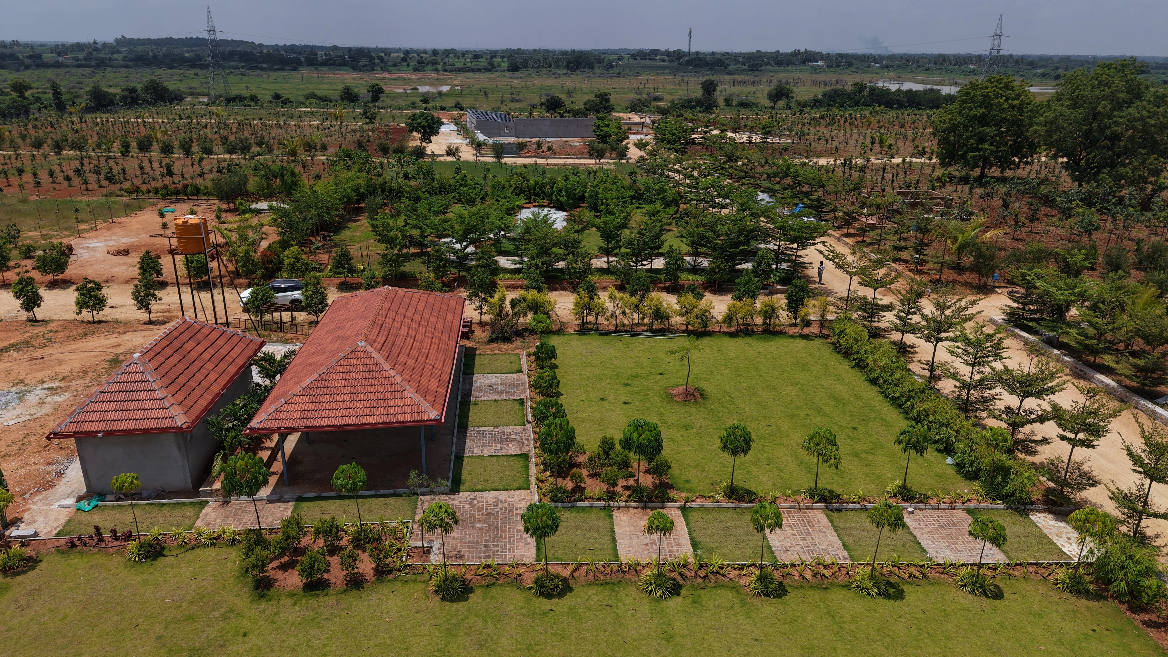 Families securing their future through a Red Sandalwood Investment
