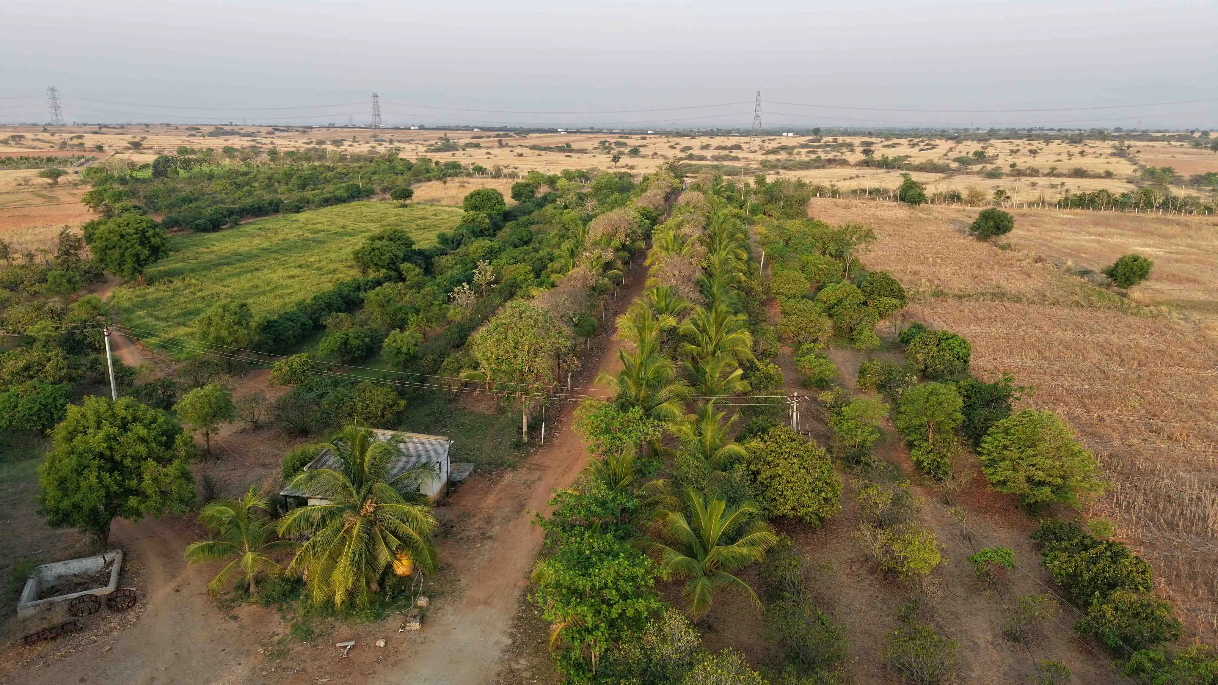 Brahmasamudram Entrance View