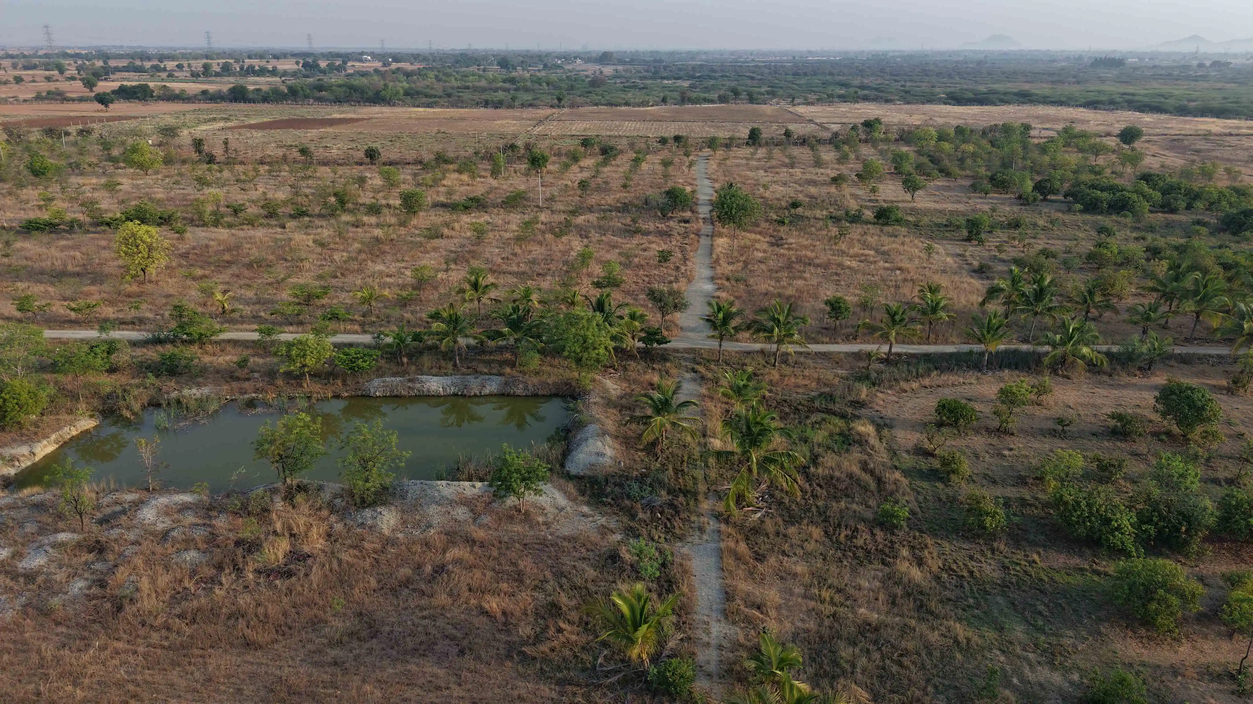Neralu Brahmasamudra - Premium Plotted Development