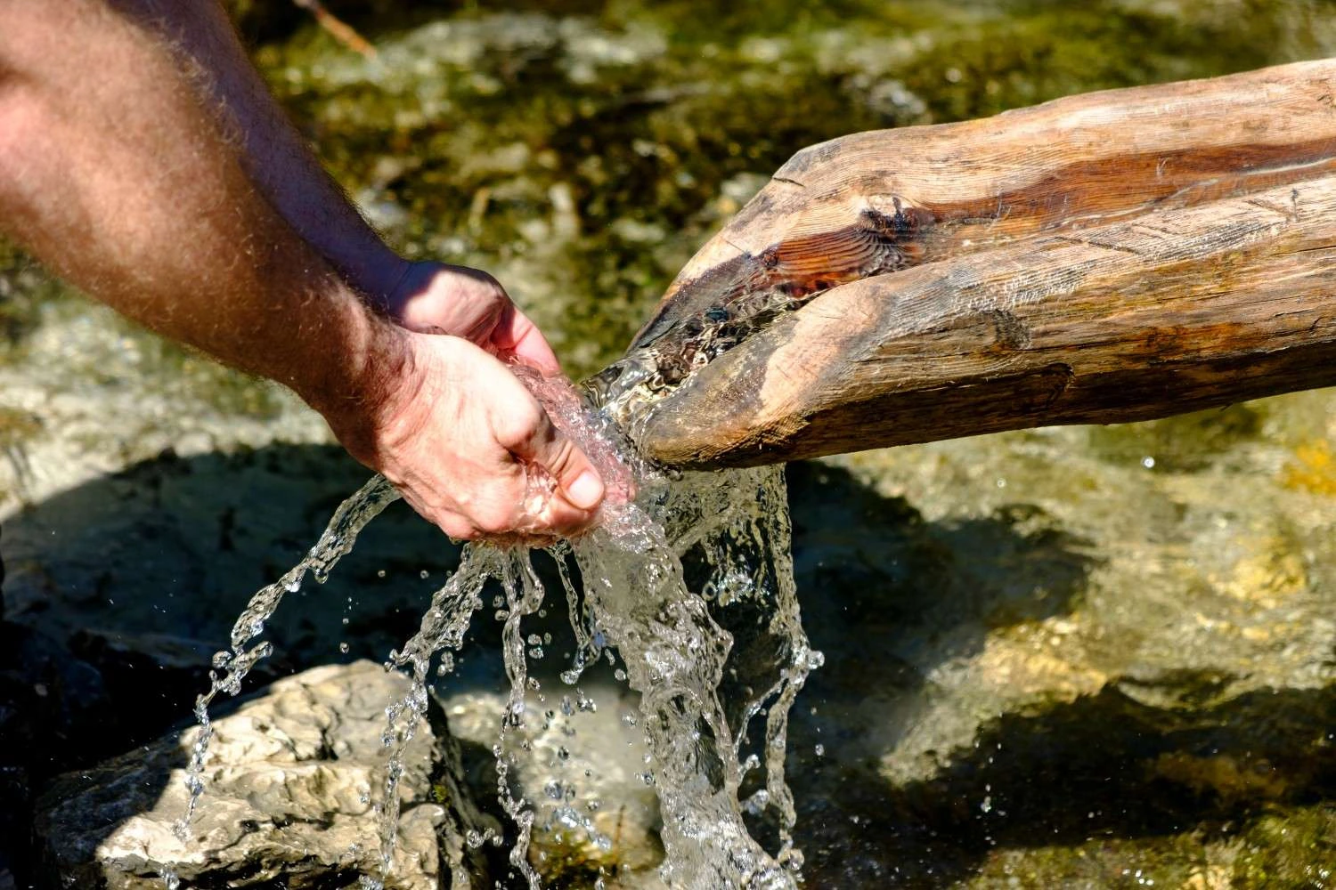 Water Wisdom