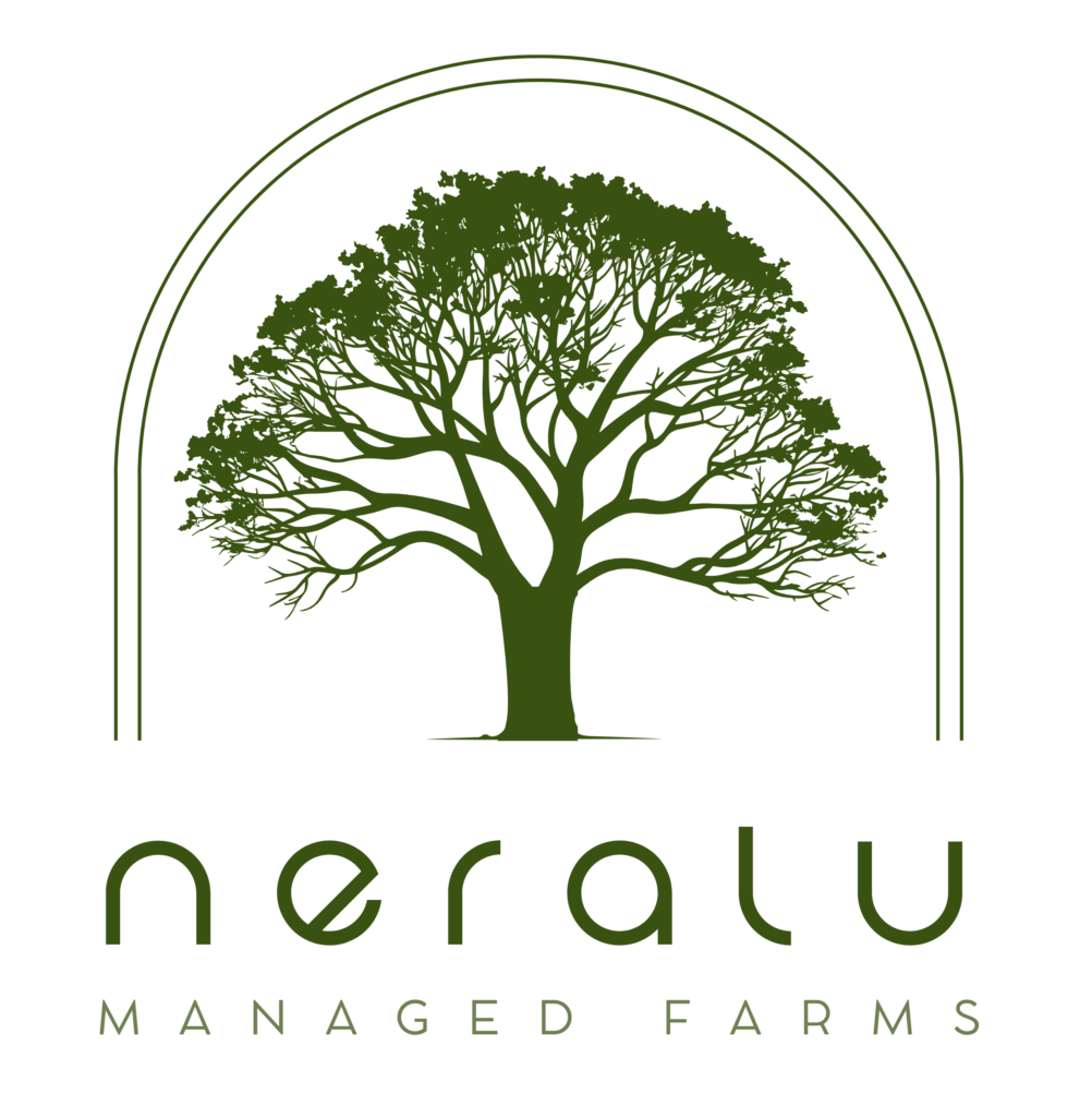 Neralu Logo Neralu Logo