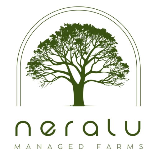 cropped Neralu Logo Neralu Logo